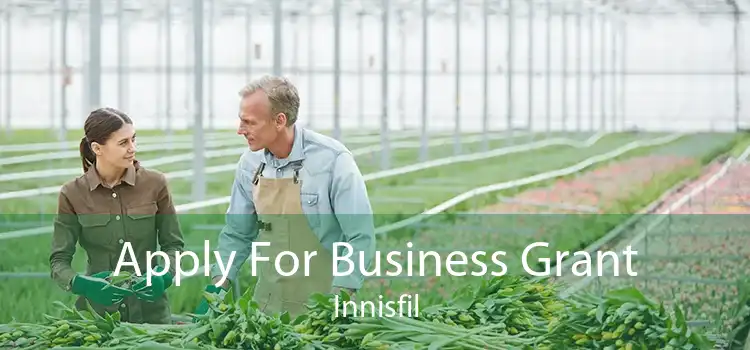 Apply For Business Grant Innisfil